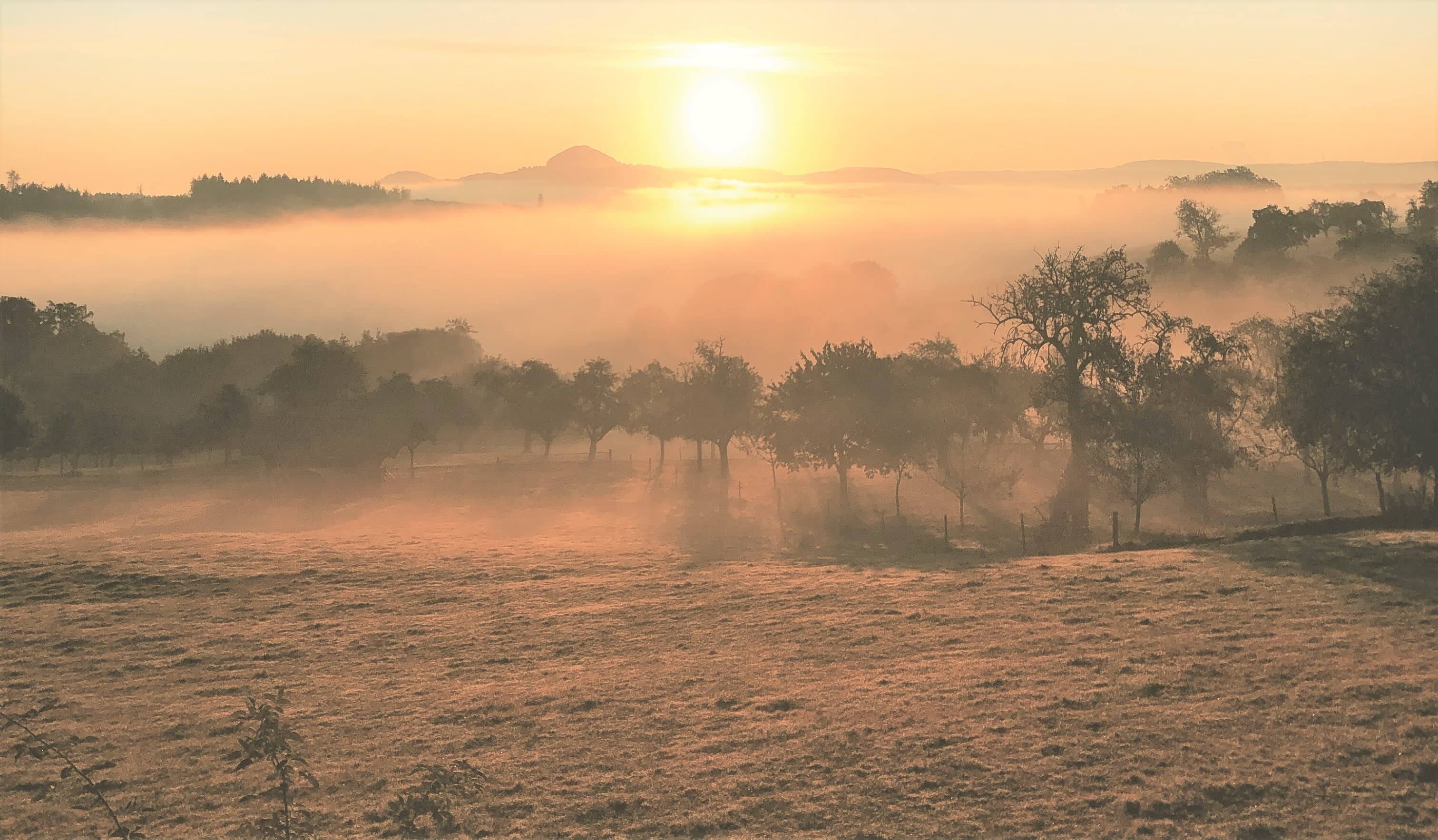 Sonnenaufgang über einer nebligen Landschaft mit Feldern und Bäumen.